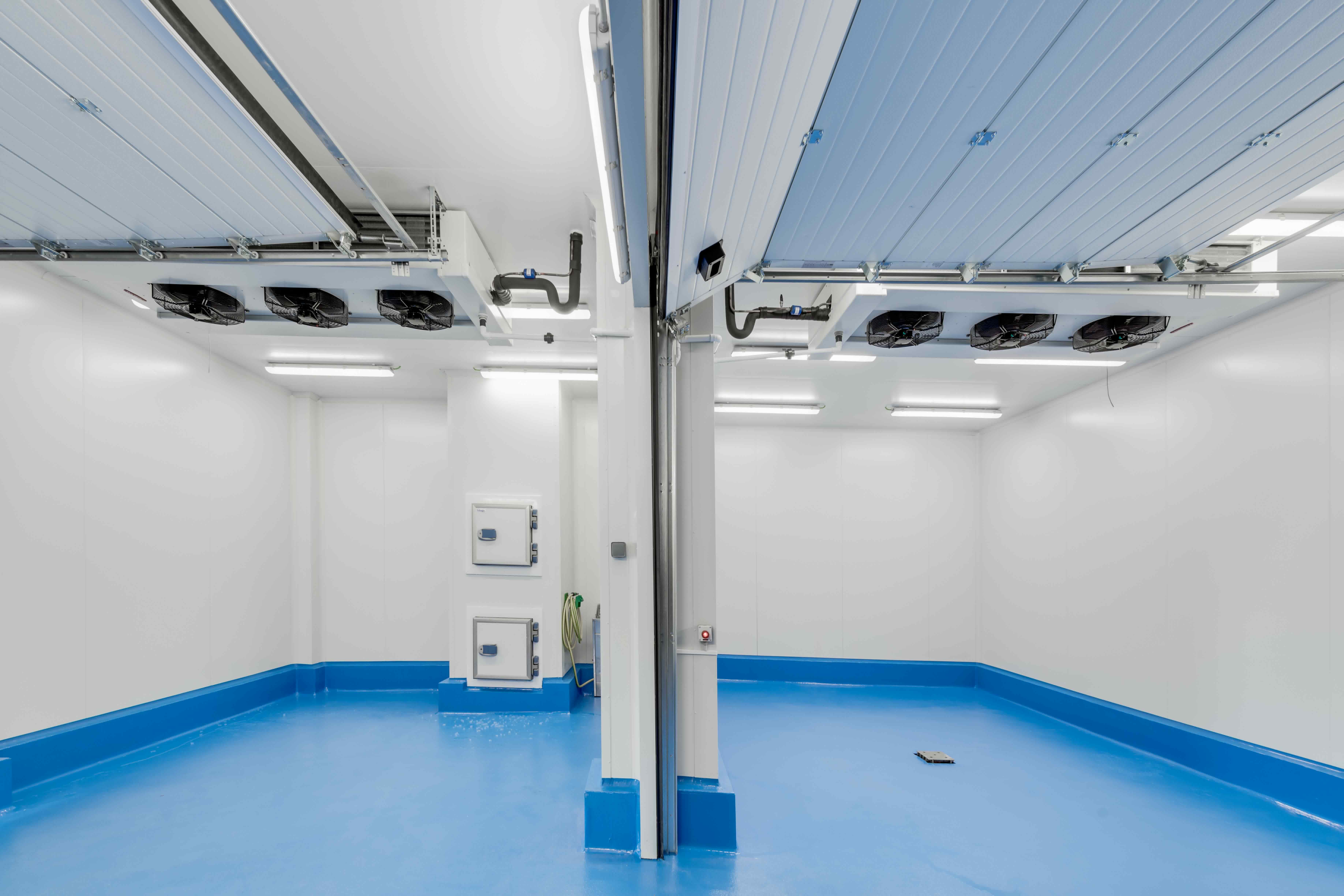 Tenemos las herramientas que necesitas para conservar el pescado de forma óptima