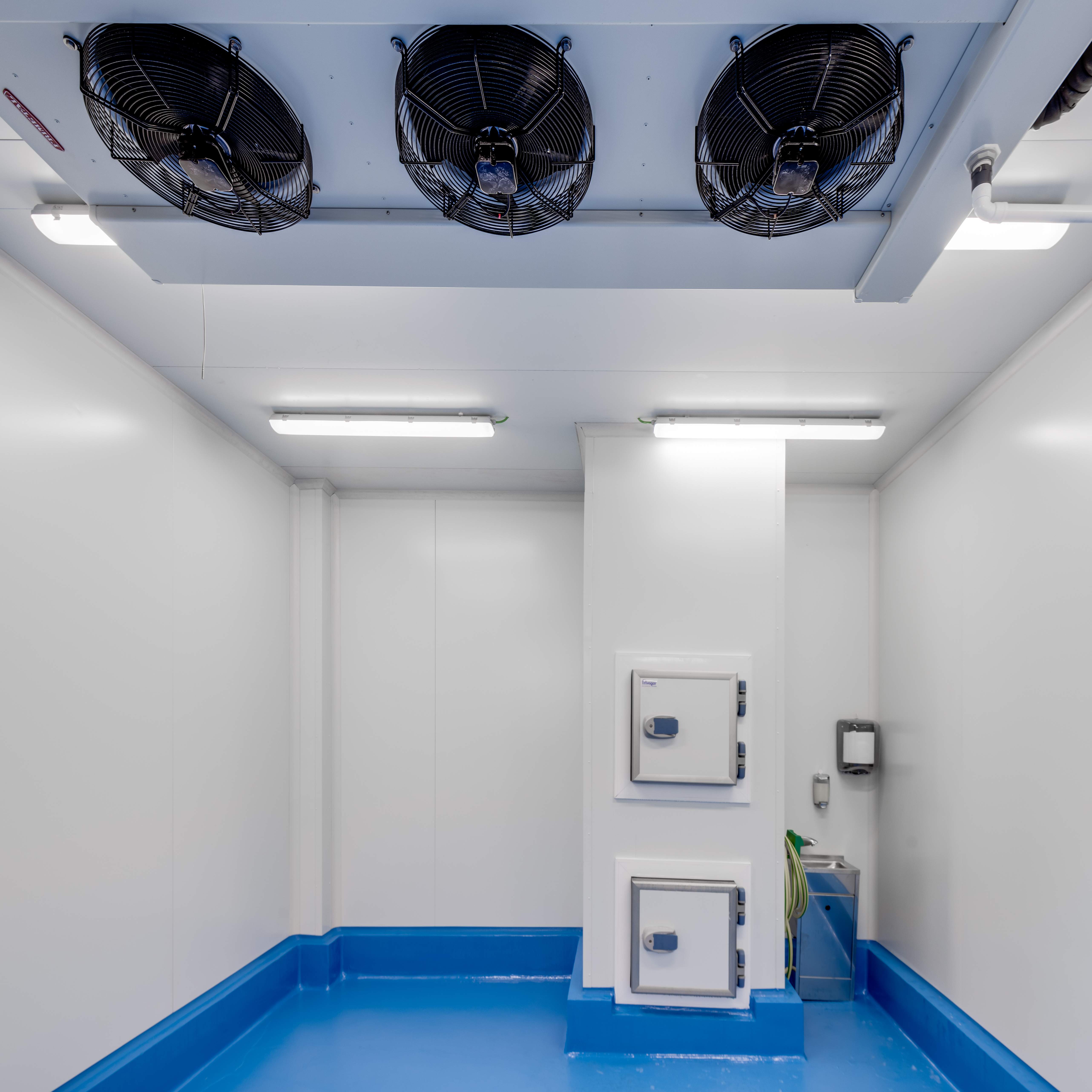 Tenemos las herramientas que necesitas para conservar el pescado de forma óptima